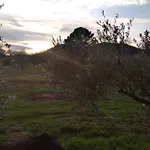 Chico