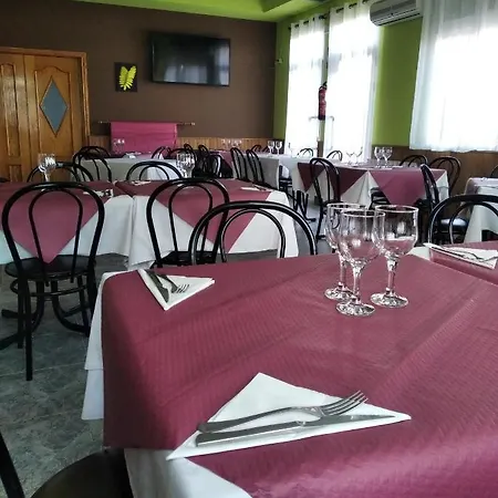 Hotel Chico